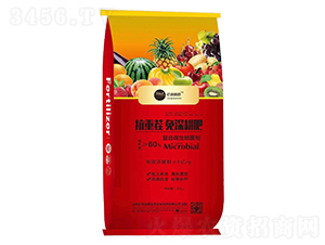 ���ز��������-�|�żZ��-�|������