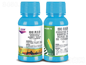 24%���ס�ݬȥ��-������-�����S