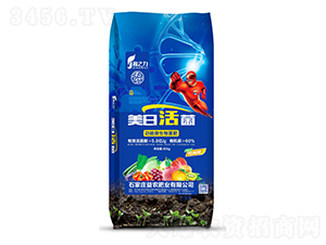 ����΢�������-���ջ��-���r(n��ng)�ʘI(y��)