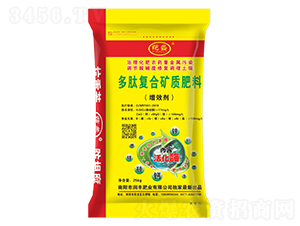 ���ď�(f��)�ϵV�|(zh��)����-���-���S�ʘI(y��)