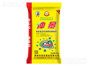 40kg���ď�(f��)�ϵV�|(zh��)������Ч��-�پ�-���S�ʘI(y��)