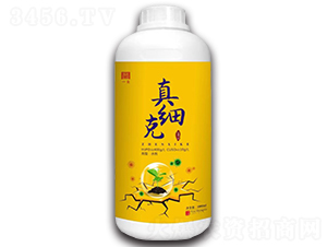 �漚(x��)��-һ�t