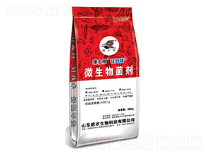 ΢�������-�����Z-���r(n��ng)����