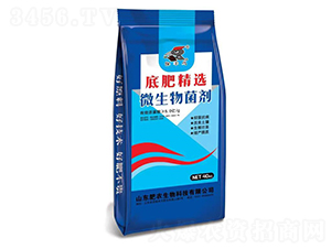 ΢�������-���S�B-���r(n��ng)����