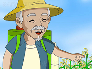 思為道動畫視頻拍攝:河南思為道文化傳媒有限公司