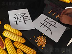 思為道產(chǎn)品廣告拍攝:河南思為道文化傳媒有限公司