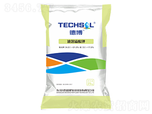 ���������-�²�-��ʢ����