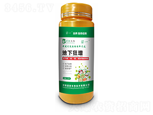 ���¿���-��һ-�̄�����