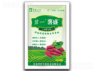 ��ʢ-��һ-�̄�����