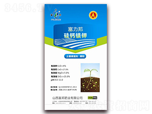 �����{(di��o)�턩-���}�V�-����ʘI(y��)