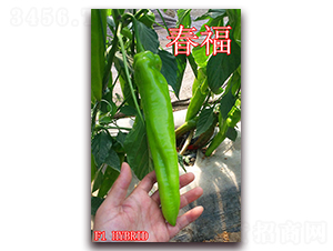 ����-�����N��-��ʢ�r(n��ng)�I(y��)