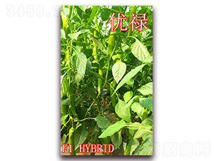 ��(y��u)��-�����N��-��ʢ�r(n��ng)�I(y��)