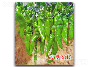 ����2315-�����N��-��ʢ�r(n��ng)�I(y��)