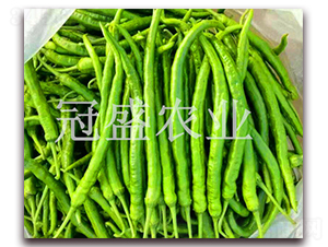 ����8̖-�����N��-��ʢ�r(n��ng)�I(y��)