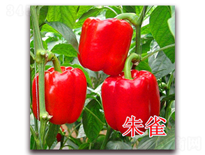 ��ȸ-�����N��-��ʢ�r(n��ng)�I(y��)