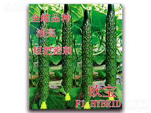 �W��-�S�ϷN��-��ʢ�r(n��ng)�I(y��)