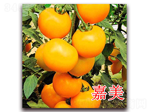 ����-���ѷN��-��ʢ�r(n��ng)�I(y��)