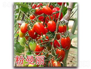 ������-���ѷN��-��ʢ�r(n��ng)�I(y��)