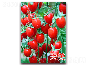 ����-���ѷN��-��ʢ�r(n��ng)�I(y��)