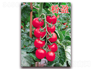 ��ӯ-���ѷN��-��ʢ�r(n��ng)�I(y��)