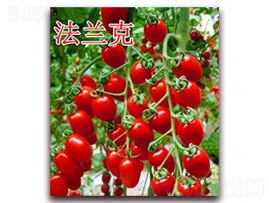 ���m��-���ѷN��-��ʢ�r(n��ng)�I(y��)