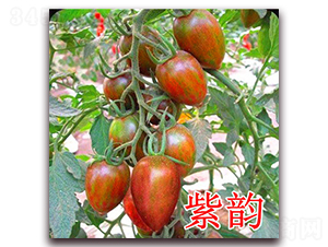 ���-���ѷN��-��ʢ�r(n��ng)�I(y��)