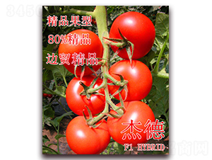 �ܵ�-���ѷN��-��ʢ�r(n��ng)�I(y��)