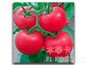 ���ƿ�-���ѷN��-��ʢ�r(n��ng)�I(y��)