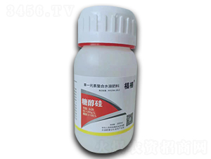 �Ǵ���-����