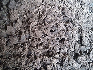 ��Ȼ�����u�S-���|�ʘI(y��) 