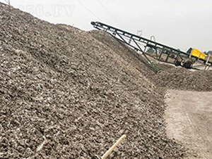 ���u�S-���|�ʘI(y��) 