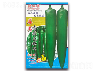 ����-�����N��-�A�~