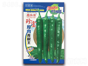 �主-�����N��-�A�~