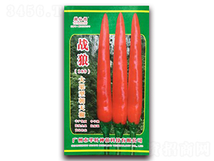 ��(zh��n)��-�����N��-�A�~