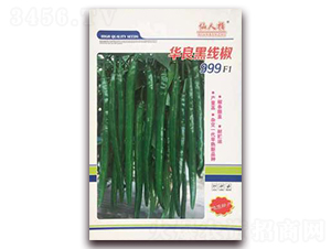 �A���ھ���-�����N��-�A�~