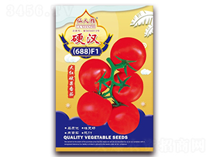 Ӳ�h688-���ѷN��-�A�~