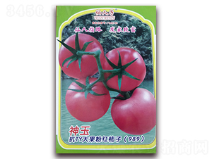 ������-���ѷN��-�A�~