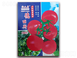 ����˹989-���ѷN��-�A�~