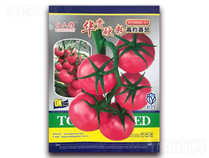 �A�F-���ѷN��-�A�~