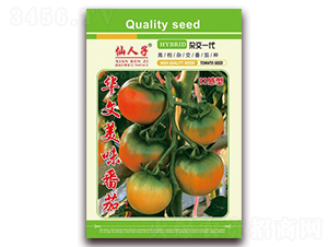 �A����ζ����-���ѷN��-�A�~