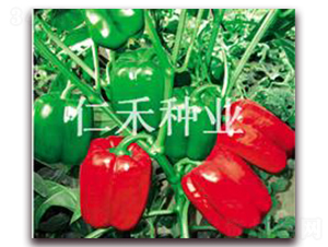 �̵���JORDAN��-�𽷷N��-�ʺ̷N�I(y��)