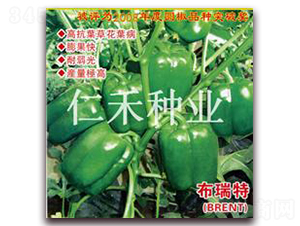 �����أ�BRENT��-�𽷷N��-�ʺ̷N�I(y��)