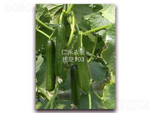 ����103���߿�������-�S�ϷN��-�ʺ̷N�I(y��)