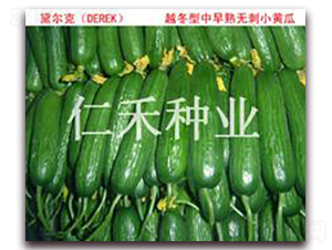 ������DAER��-�S�ϷN��-�ʺ̷N�I(y��)