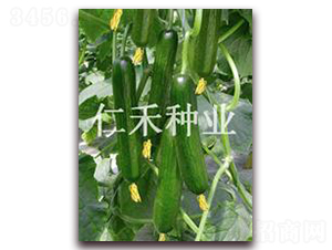 ����102-�S�ϷN��-�ʺ̷N�I(y��)