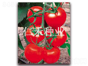 ��(m��ng)��-�t�����ѷN��-�ʺ̷N�I(y��)