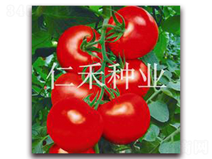 RH19-�t�����ѷN��-�ʺ̷N�I(y��)