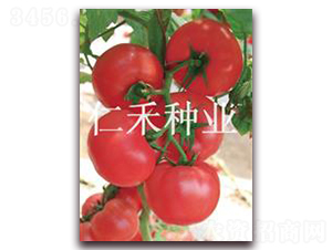 �۠�ԪF7-�۹����ѷN��-�ʺ̷N�I(y��)