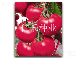 �K�ƣ�SOPHIE��-�۹����ѷN��-�ʺ̷N�I(y��)