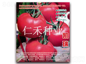 �P��CARY��-�۹����ѷN��-�ʺ̷N�I(y��)